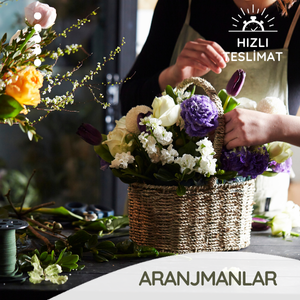 aranjmanlar